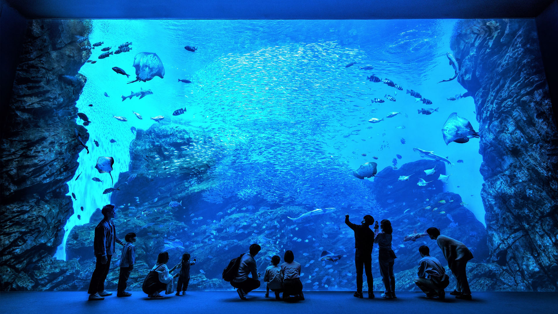 仙台うみの杜水族館 - 作品紹介 - 大建設計